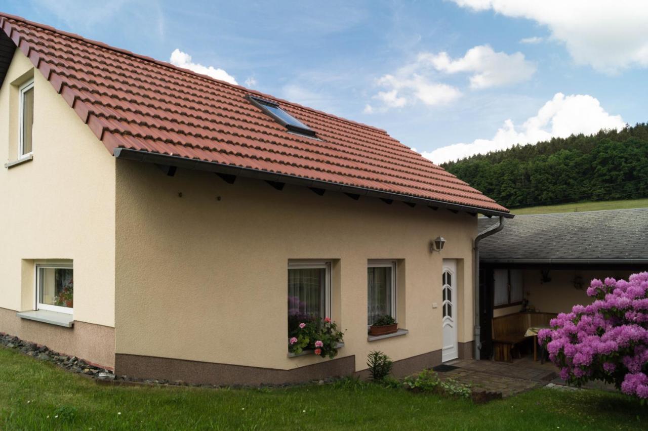 Ferienhaus Fischer Kurort Gohrisch Luaran gambar